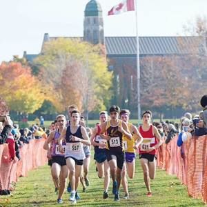 Meet your Posher, Jordan